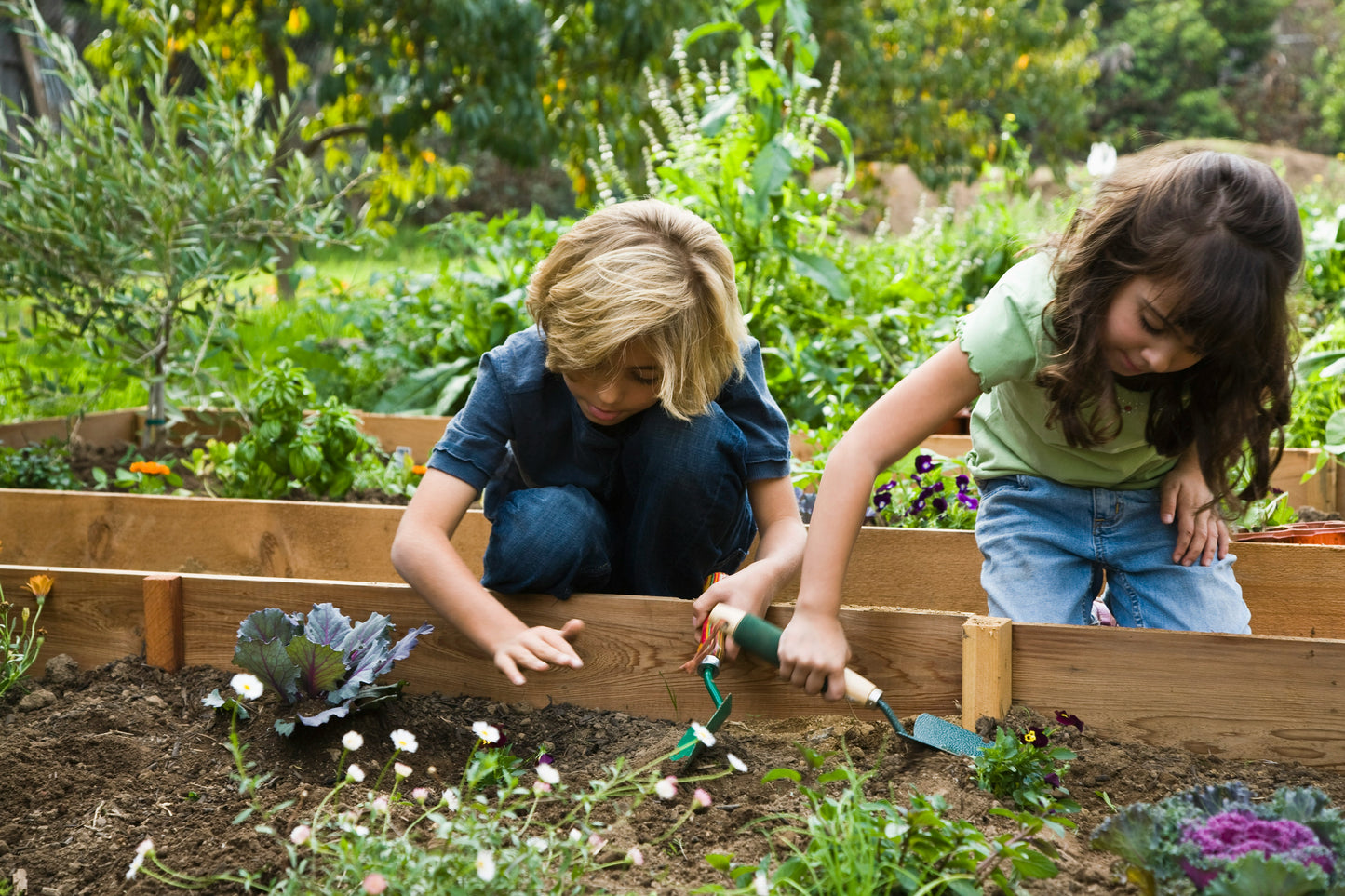 School Garden Planning & Digital Field Guide
