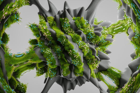 Microscopic Plant Structures Virtual Microscope Pack